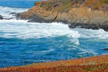 La belleza serena de las playas y acantilados de Cambria