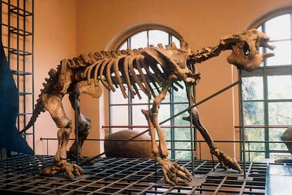 La bestia encontrada en Luján