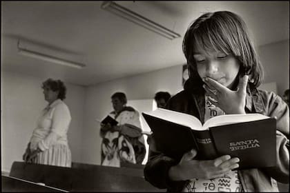 La Biblia narra de manera general la historia del mundo.