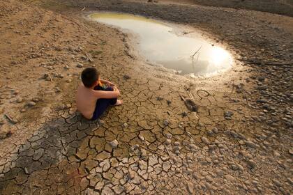 Además de la disminución acelerada de los animales en la tierra el informe señala que para degradación de los suelos, se ha declarado la alerta roja. La acidificación del océano y de las fuentes de agua dulce no están lejos.