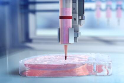 La bioimpresión de órganos usa biotintas que tienen células vivas, que se usan para generar tejido de reemplazo para un paciente