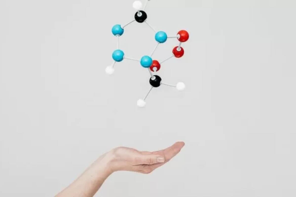 La biología cuántica puede abrir puertas a nuevos conocimientos