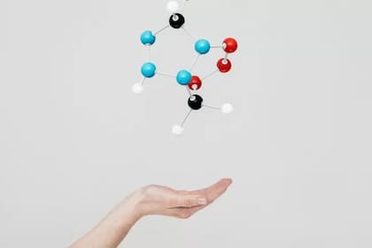 La biología cuántica puede abrir puertas a nuevos conocimientos