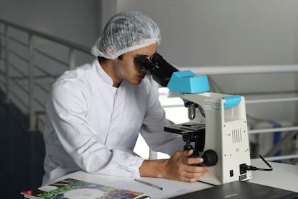 La biología es uno de los campos irremplazables por la IA, según Gates, es necesario del descubrimiento científico para avanzar como sociedad