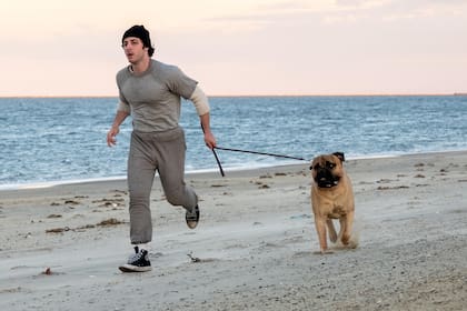 La biopic, dirigida por Peter Farrelly y protagonizada por Anthony Ippolito en el papel de Stallone, no trata sobre el boxeador en sí, sino sobre cómo un desconocido y joven Stallone luchó para que la industria del cine aceptara su guion