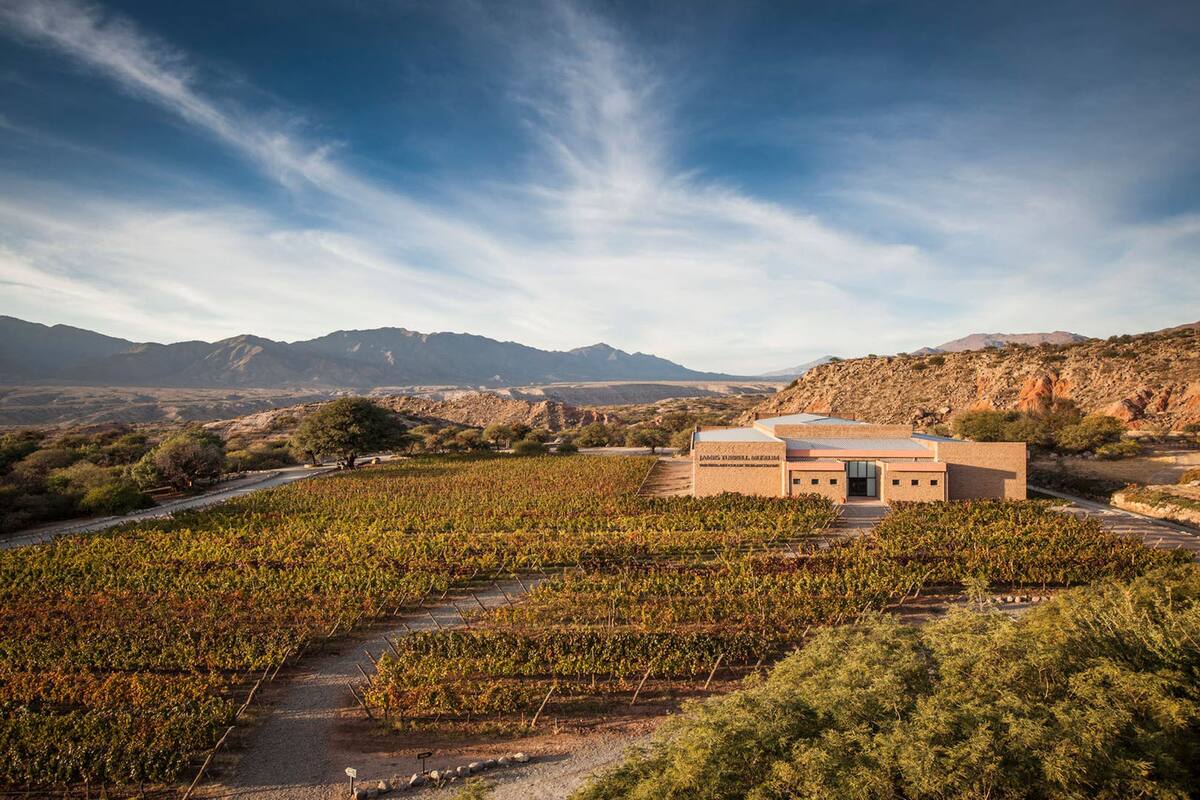 La bodega Colomé