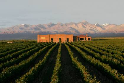 La Bodega Andeluna, en Mendoza