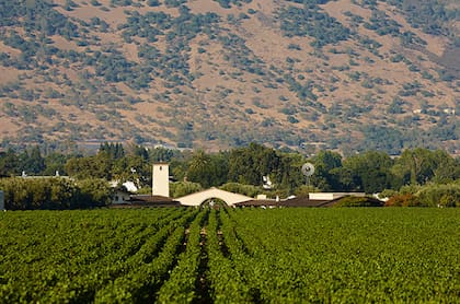 La bodega de Robert Mondavi, en el Valle de Napa
