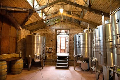 La bodega El Noble tiene dos hectáreas de cultivos orgánicos y produce 18 mil botellas por año de Malbec, Merlot, Syrah y Cabernet, que recibieron múltiples premios.