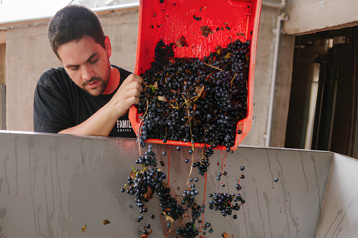 La bodega está certificada como orgánica y vegana