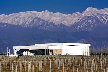 La bodega funciona en una de las tres fincas de la empresa en Valle de Uco