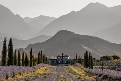 La bodega La Coste de los Andes, con su restaurante Atipana