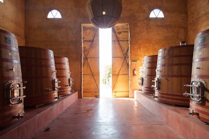 La Bodega Narbona es una de las pioneras de Uruguay.