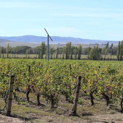 La Bodega Saldungaray cuenta con una visita guiada para los amantes del vino que quieran conocer su producción. Foto: @bodegasaldungaray