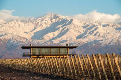 La bodega The Vines Resort & Spa integra la lista de los “100 lugares que cambiarán tu vida”
