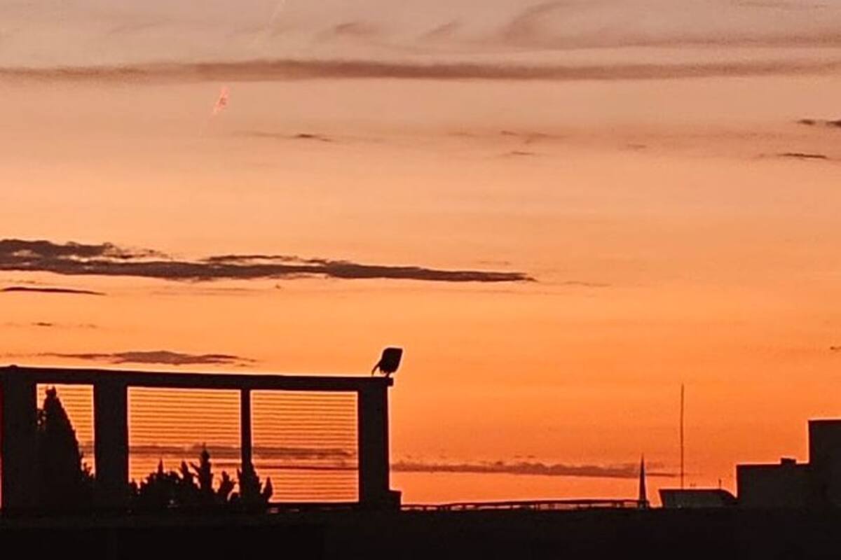La bola de fuego dejó una estela que se hizo visible desde varias provincias argentinas.