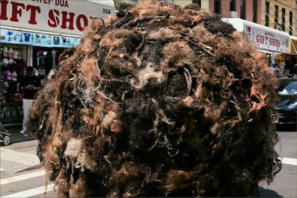 La bola de pelo humano, de tres metros de altura, tenía el objetivo de concientizar a las personas sobre el envejecimiento capilar prematuro