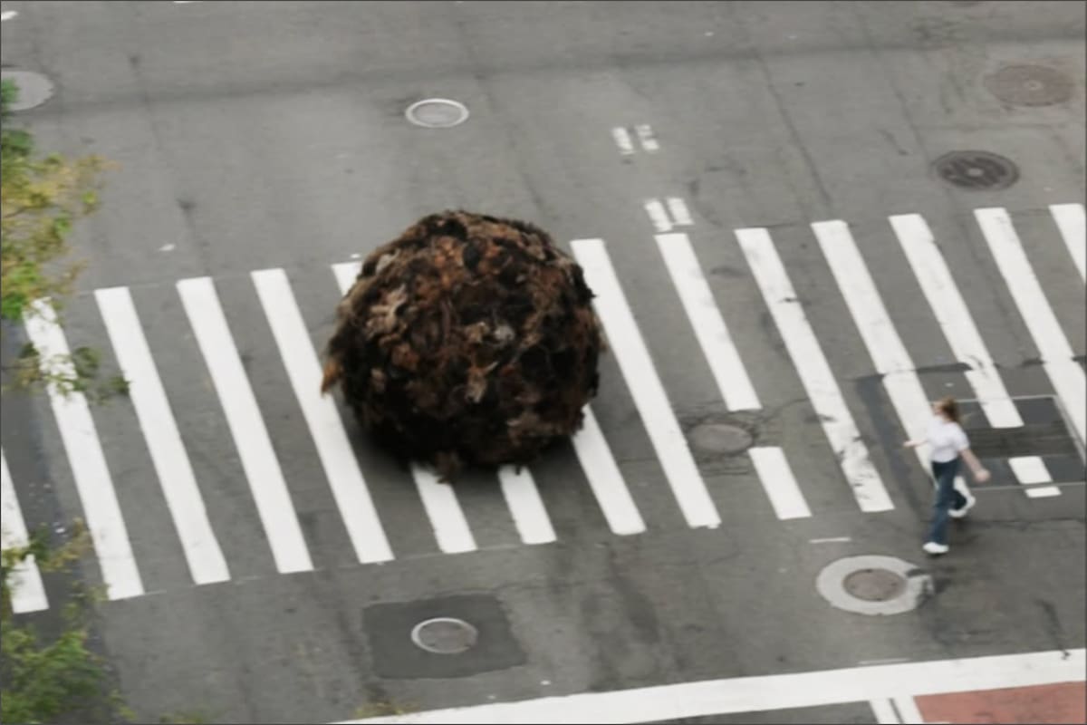 La bola gigante hecha de cabello humano real rodó por diversas calles de Manhattan, en Nueva York, y causó asombro en los peatones