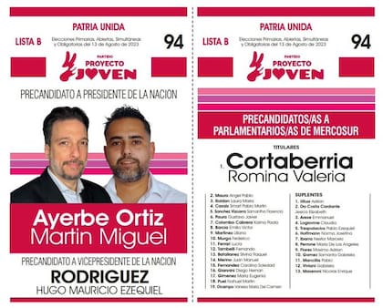 La boleta de Martín Ayerbe