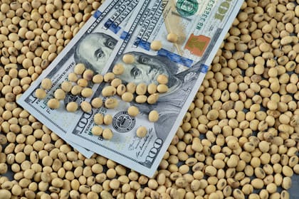 La Bolsa de Cereales de Buenos Aires y el Matba Rofex oficializaron el índice del dólar exportador