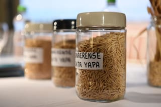 La superavena que ya es una realidad tras 15 años de investigación