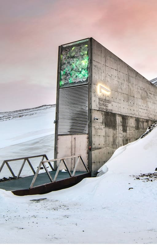 La bóveda con la instalación de la artista noruega Dyveke Sanne.