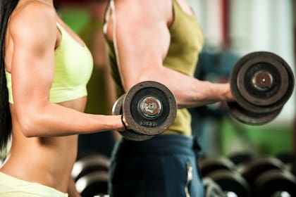 La buena alimentación y el ejercicio estimulan la formación de masa muscular