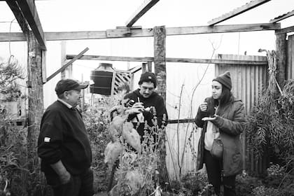 La búsqueda de los productores es esencial en el concepto de Crujiente