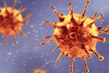 La búsqueda para reposicionar medicamentos para tratar la covid-19 se hace tomando en cuenta los distintos mecanismos de los que se vale el coronavirus para reproducirse dentro de nuestro cuerpo