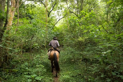 La cabalgata por la selva es una de los paseos recomendados.