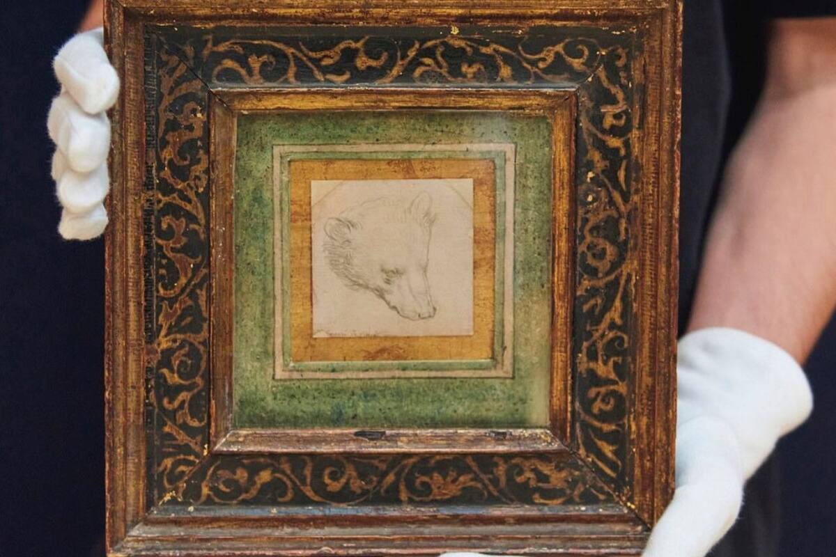 La Cabeza de oso de Da Vinci, subastada semanas atrás por 12,1 millones de dólares