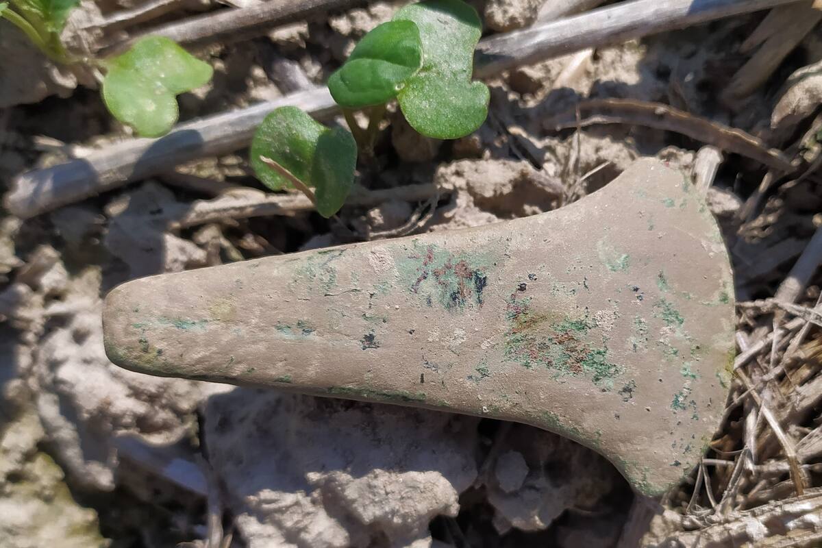 La cabeza de un hacha de 5.000 años de antigüedad encontrada en Matcze, Polonia