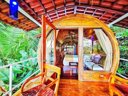 La cabina se avión se inserta en las alturas y en el medio de la selva, casi como si acabara de aterrizar.