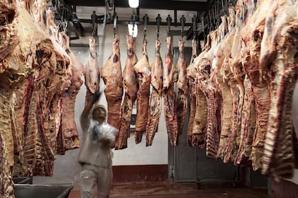 La cadena de la carne podría generar 114.000 puestos de trabajo
Foto: Marcelo Manera