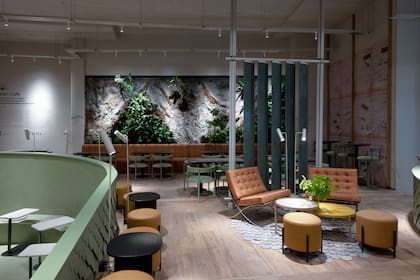 La cafeteria creada por Osten