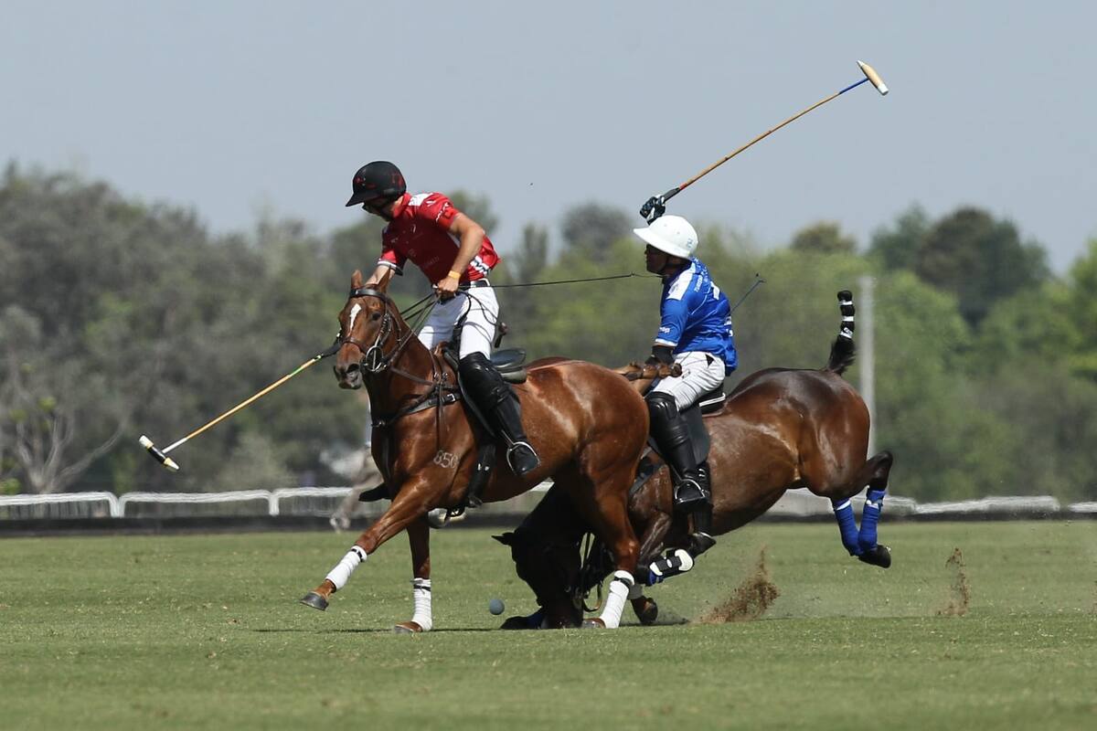 La caída de Gonzalito Pieres en el quinto chukker: Santiago Loza, de La Irenita III, fue expulsado