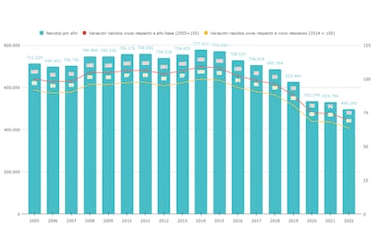 La caída de la tasa de natalidad argentina