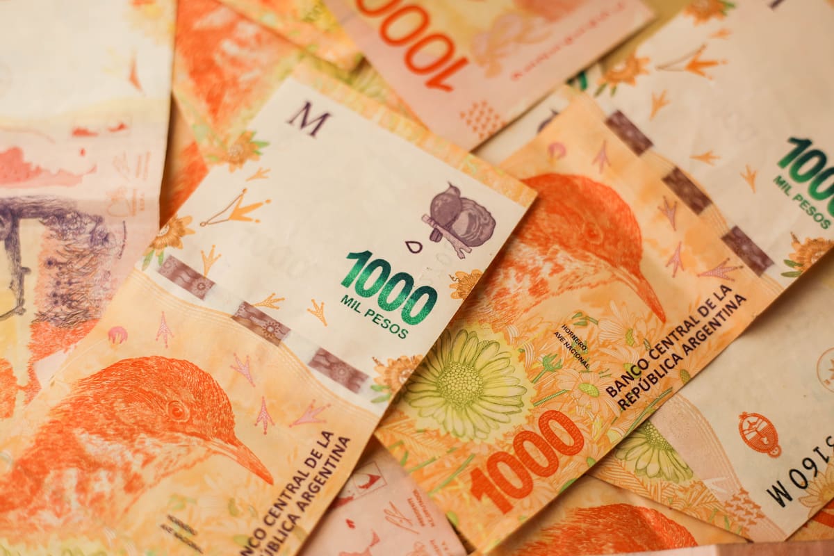 La caída del poder adquisitivo de los pesos es uno de los factores que influyen en las decisiones de los inversores