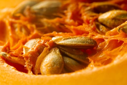 La calabaza es rica en vitamina A