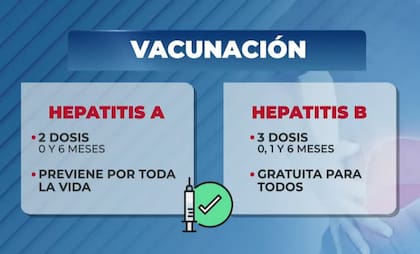 La calendarización del plan de vacunación contra la hepatitis