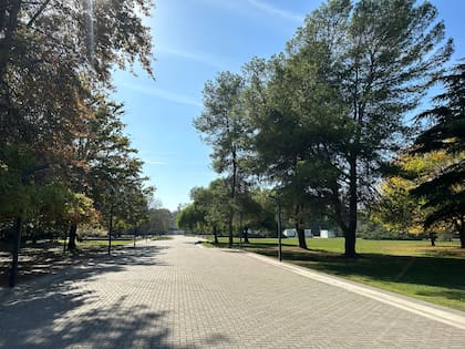 La calle que rodea la plaza central, de una hectárea de superficie