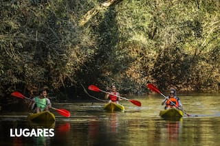 El salto donde se bañó la Coca Sarli y los circuitos menos conocidos de Iguazú