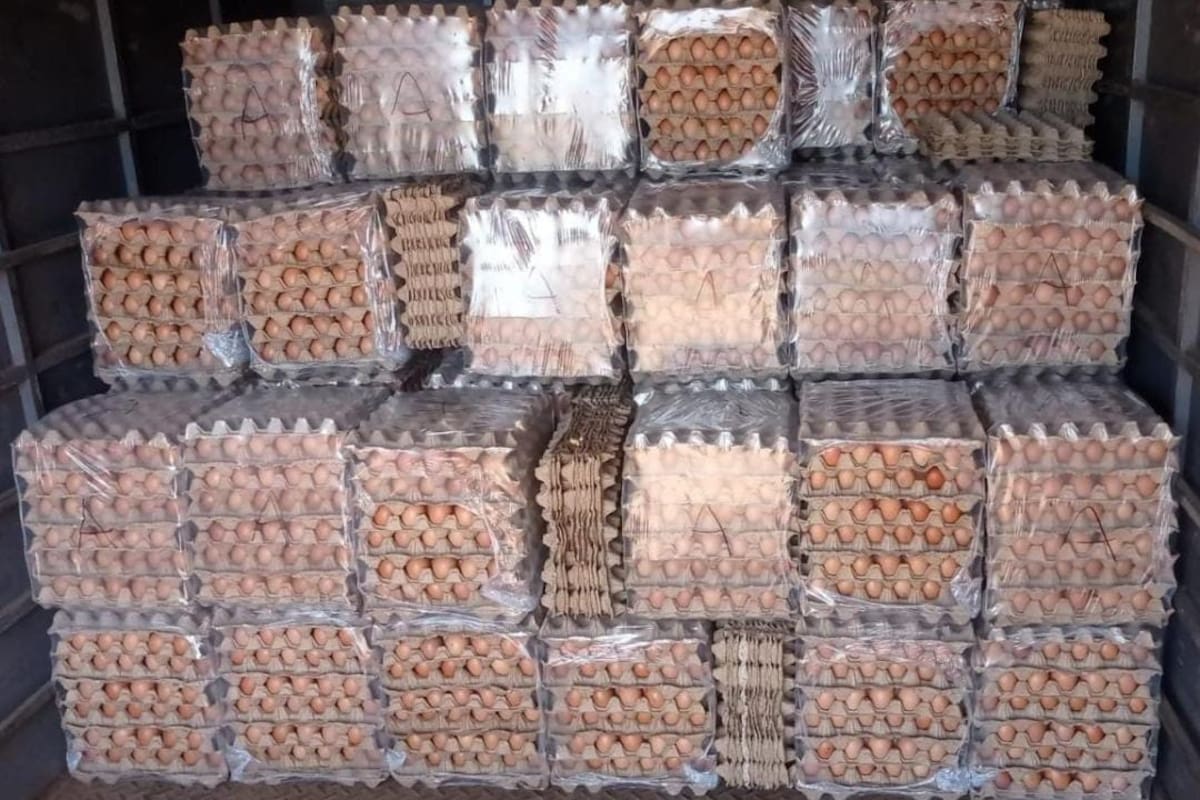 La Cámara Argentina de Productores Avícolas (Capia) advirtió sobre el ingreso de mercadería ilegal desde países vecinos