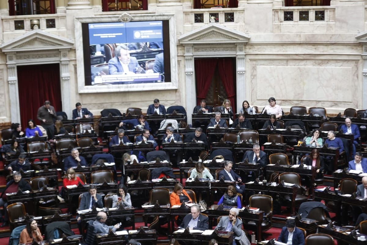 La Cámara de Diputados, en la última sesión en la que trató la reforma jubilatoria