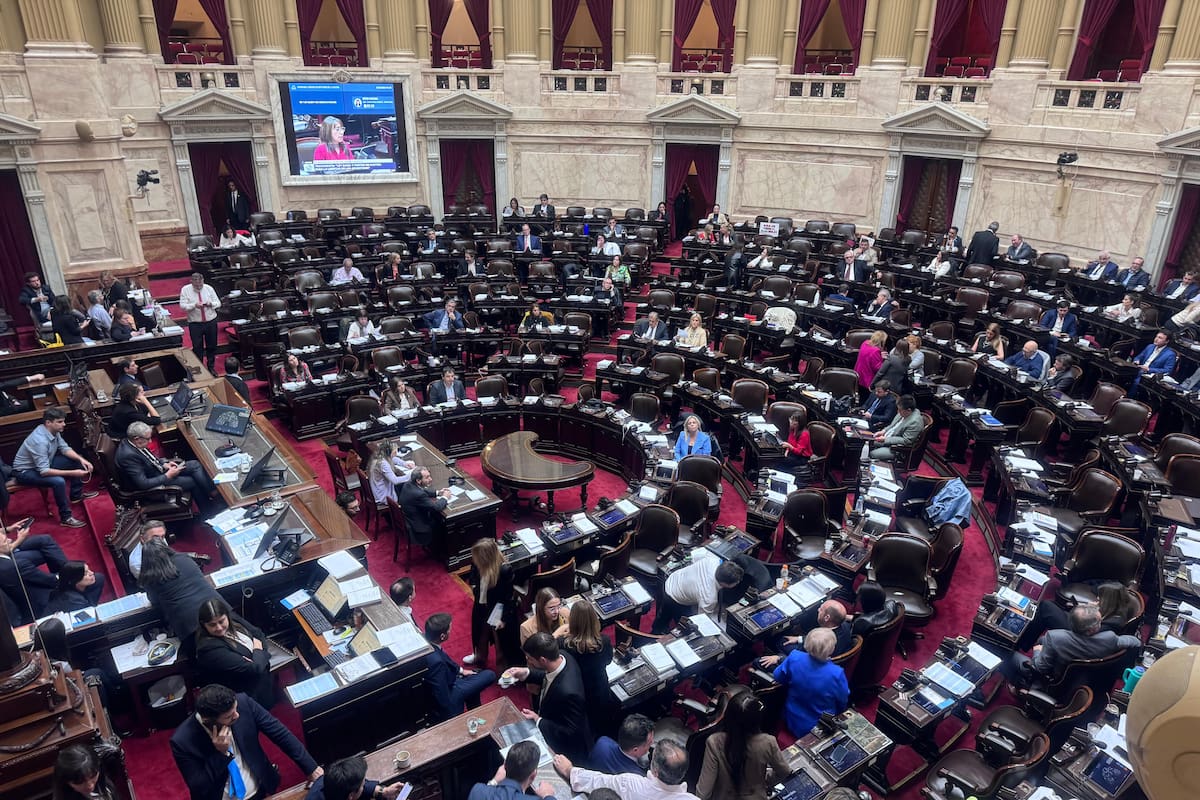 La Cámara de Diputados recibió por tercera vez el proyecto de ley de administración y reutilización social de bienes cautelados y recuperados