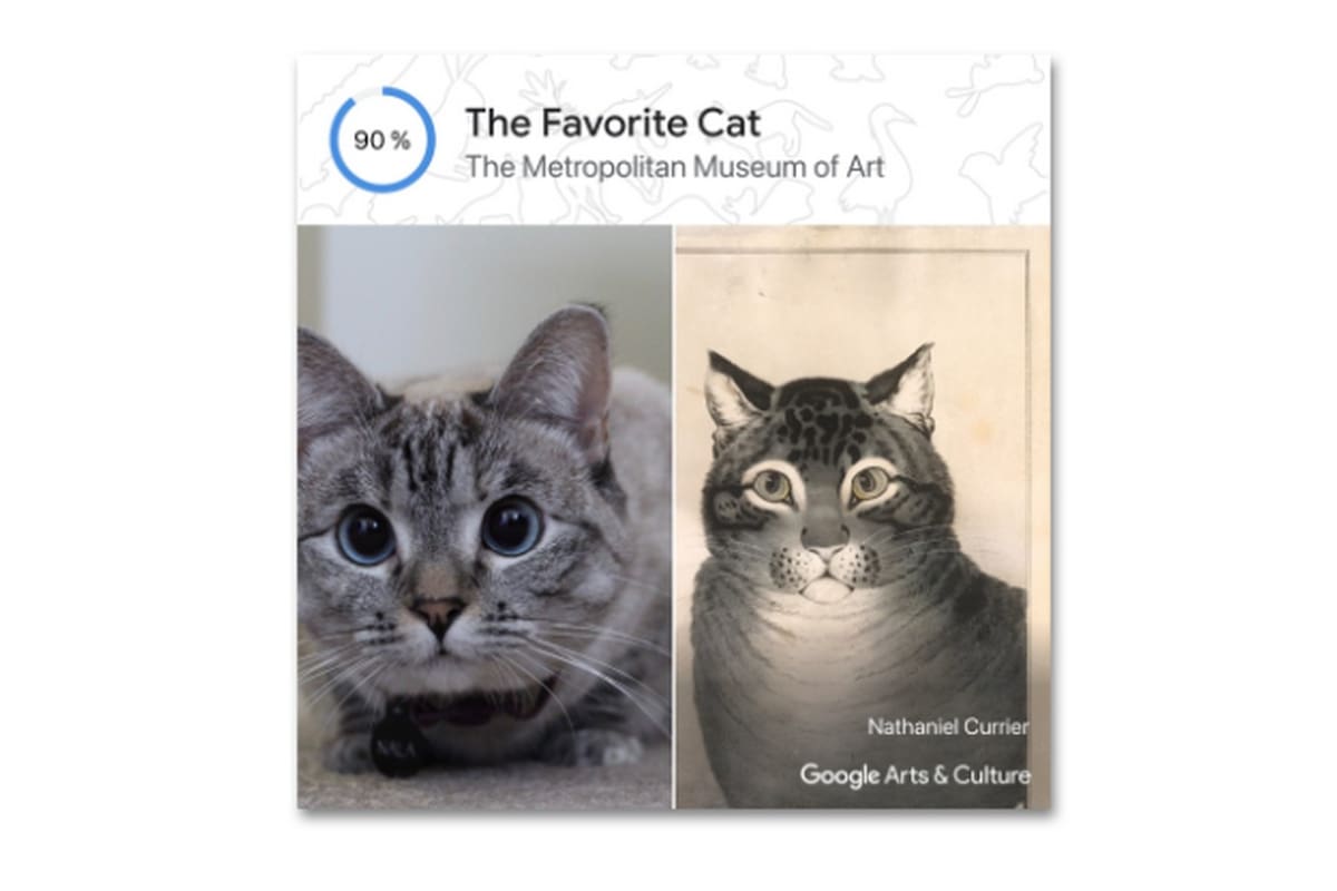 La cámara de Google Arts & Culture analiza el retrato de la mascota y la relaciona con una obra de arte de su amplio catálogo de contenidos provistos por museos de todo el mundo