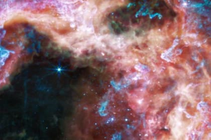 La cámara de infrarrojo cercano de Webb (NIRCam) muestra en la imagen la región de formación de estrellas de la Nebulosa de la Tarántula bajo una nueva luz. POLITICA INVESTIGACIÓN Y TECNOLOGÍA NASA, ESA, CSA, STSCI,