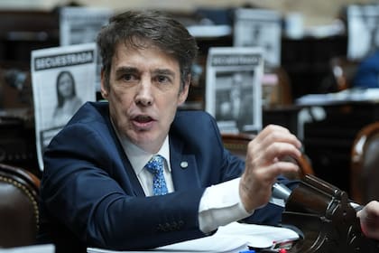 La Cámara Electoral definió que Ricardo Garramuño ocupe la banca liberada por el diputado fallecido Héctor Stefani