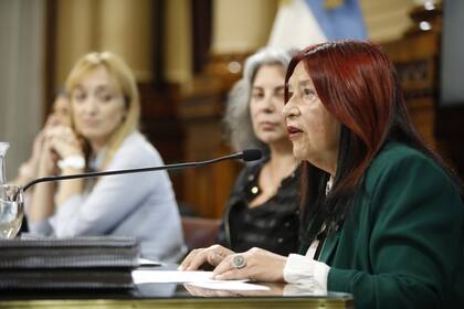 La camarista Ana María Figueroa el día que se presentó ante la Comisión de Acuerdos del Senado
