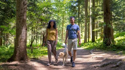 La caminata es un ejercicio aeróbico y por esa razón, según los especialistas, aporta beneficios a quienes la realizan de una manera frecuente y consistente (Foto: iStock)